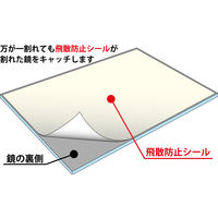 ヤマムラ 飛散防止吊鏡S YHB-12 1個