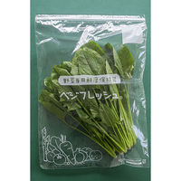 ホリックス　ベジフレッシュ　チャック付　野菜専用　鮮度保持袋　Lサイズ　141721　1袋（5枚入）