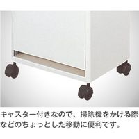 アスベル ゴミ箱 資源ゴミ分別ワゴン（ワイド）2段 30.5L 6730 2個（直送品）