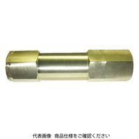 IBS チェックバルブ CAMシリーズ CAMT2NーA 1個（直送品）