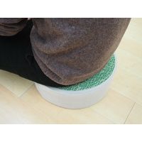 萩原 い草高座クッション シャイン 約幅400×奥行400×高さ120mm グリーン 81938726 1個（直送品）