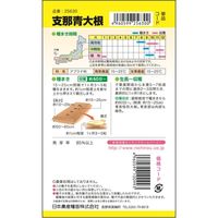 ニチノウのタネ 支那青大根（おためしパック） 日本農産種苗 4960599256300 1セット（10袋入）（直送品）