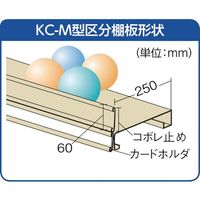 トラスコ中山 TRUSCO スチール製区分棚 KCーM型 前当り付 875X250XH1800 5列10段 KC-5100M 1台(1個)（直送品）
