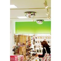 コミ― ラミドーム 495Φ LT5 1式