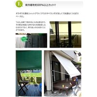 ファミリー・ライフ 日よけスクリーン＆ブラインドDX 200幅 ブラウン 0331430（直送品）