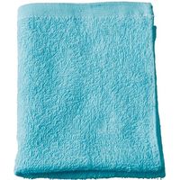 テラモト 業務用 タオル 10枚 CE480-010-9（直送品）