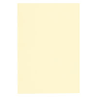 リンテック 色画用紙 ニューカラーR 八切 うすクリーム NCR1128 1包（100枚入）