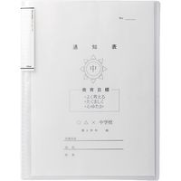 リヒトラブ クリヤーブック 乳白 10冊 N-7111-1-10 1セット（直送品）