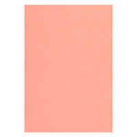 リンテック 色画用紙 ニューカラーR 八切 サーモン NCR1278 1包（100枚入）
