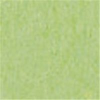 やよいカラー 8ツ切 たけ 100枚 ヤヨイカラー 8ツギリ タケ100マイ 北越コーポレーション（直送品）