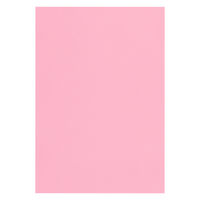 リンテック 色画用紙 ニューカラーR 八切 ときいろ NCR2348 1包（100枚入）