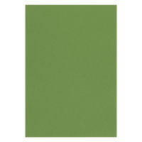 リンテック 色画用紙 ニューカラーR 八切 オリーブ NCR3168 1包（100枚入）