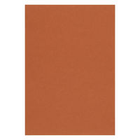 リンテック 色画用紙 ニューカラーR 八切 こいこげちゃ NCR3238 1包（100枚入）