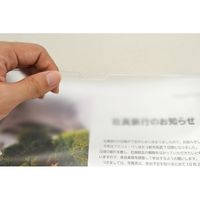 マグエックス マグネットカードケースツヤ消A3 MCARD-A3M（直送品）