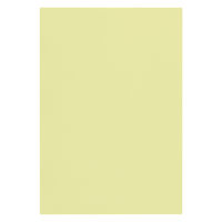 リンテック 色画用紙 ニューカラーR 八切 もえぎ NCR1248 1包（100枚入）