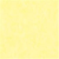 やよいカラー 8ツ切 うすきいろ 100枚 ヤヨイカラー8キリ ウスキイロ100マイ 北越コーポレーション（直送品）