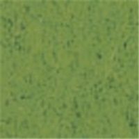 やよいカラー 8ツ切 オリーブ 100枚 ヤヨイカラー8キリ オリーブ100マイ 北越コーポレーション（直送品）