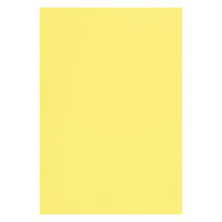リンテック 色画用紙 ニューカラーR 八切 ライトイエロー NCR1348 1包（100枚入）