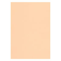 リンテック 色画用紙 ニューカラーR 八切 しらちゃ NCR1118 1包（100枚入）