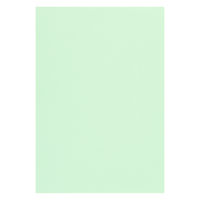 リンテック 色画用紙 ニューカラーR 八切 ミントグリーン NCR1378 1包（100枚入）