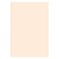 リンテック 色画用紙 ニューカラーR 八切 ベージュ NCR1388 1包（100枚入）