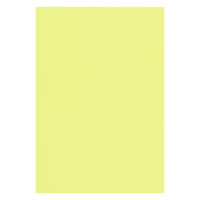 リンテック 色画用紙 ニューカラーR 八切 ライムグリーン NCR1368 1包（100枚入）