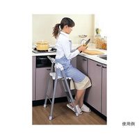 オークス ステップアップチェア シルバー X11 1個 62-9938-51（直送品）