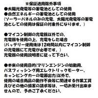 【カー用品】ACデルコ（ACDELCO） 輸入車バッテリー Maintenance Free Battery G-M27 1個（直送品）