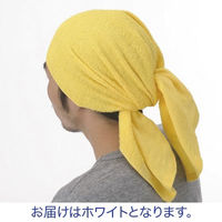 林 ロングフェイスタオル ホワイト(白) FC411310x8 1セット(40枚)