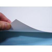 グリーンクロス 通り芯標識450角 X 6300000284（直送品）