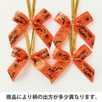 ヘッズ ハロウィンプリントリボンワイヤータイ―2(30個) HWR-YT2 1パック(30個)