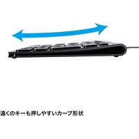 サンワサプライ USBスリムキーボード SKB-SL32BK 1個