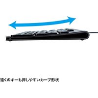 有線キーボード　パンタグラフ　コンパクト　ブラック　SKB-SL31BK　サンワサプライ　1個（直送品）