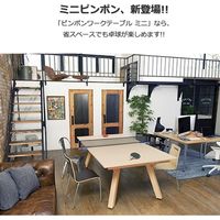 【組立設置込】Garage ピンポンワークテーブル ミニ PW-1222H 幅1220×奥行き2192×高さ760mm 白木 434692 1台（直送品）