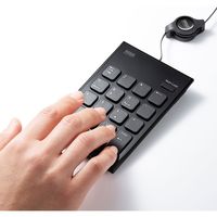 サンワサプライ 巻取りUSBテンキー NT-21UBK 1個（直送品）
