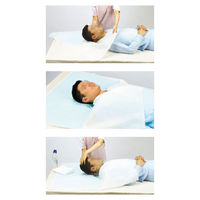 三恵 洗髪シート 颯っぱりさん　4571389983421 1セット（10枚）　【入浴用品】介援隊カタログ S0882（直送品）