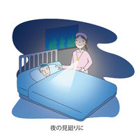 パナソニック LEDネックライト (強弱切替え機能付き) 見回り 夜間作業 首掛け BF-AF12P-H 3個 【在庫限り】