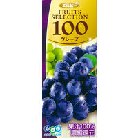 【アウトレット】エルビー　Fruits　Selection　グレープ　2031　ジュース　果汁　100%　ぶどう　1セット（24本入×２）