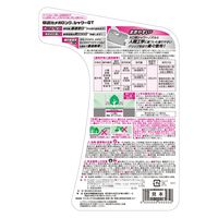 住友化学園芸 草退治メガロングシャワーGT 除草剤 4.8L 1個 約11カ月効果持続