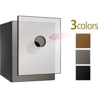 ディプロマット ビヨンド 専用 フロントパネル メタリックシルバー BY500FPMS 1枚（直送品）