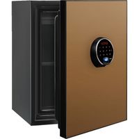 【設置込】ディプロマット ビヨンド プレミアム耐火金庫 60分耐火 36L シャンパンゴールド BY500CG 1台（直送品）