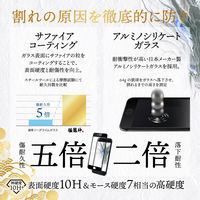 iPhone SE (第3世代/第2世代) ガラスフィルム 液晶保護フィルム 極龍神 全画面保護 ソフトフレーム ブルーライトカット（直送品）