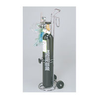 どこでもボンベカー　N10790 4517850000440 1台 あしかメディ工業（直送品）