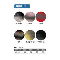 ケアファッション ボーダー柄ボトルネックセーター　89482-61　チャコール　M～L 4580625269465 1枚（直送品）