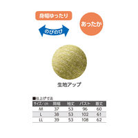 ケアファッション 杢調ボーダー裏起毛Tシャツ　89493-23　ボルドー　LL 4580625269557 1枚（直送品）