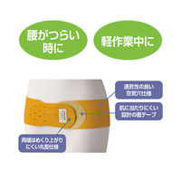 ケアファッション 生ゴム骨盤サポートベルト 89827-01 ベージュ M~L 4580625275404 1枚（直送品）