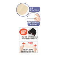 ケアファッション 抗菌防臭薄型スリム骨盤ベルト 98075-01 ベージュ フリー 4580625310433 1枚（直送品）