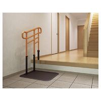 モルテン ルーツ　あがりかまちタイプ高さH型　片手すり　MNTPKH1BR 4905741906832 1台（直送品）