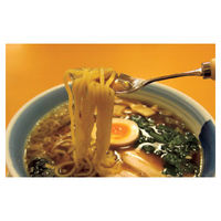 斉藤工業 ラーメンスプーン　スポンジ付　RS-5　曲げ曲げハンドル 4936480100632 1本（直送品）