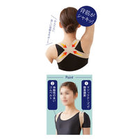 セルヴァン かんたん装着姿勢サポーター ベージュ LL 4985697236757 1個（直送品）